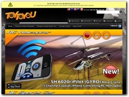 http://www.toytoyou.com/ website