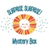 Surprise Surprise! Mystery Box