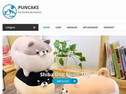 https://www.puncaks.com/ website
