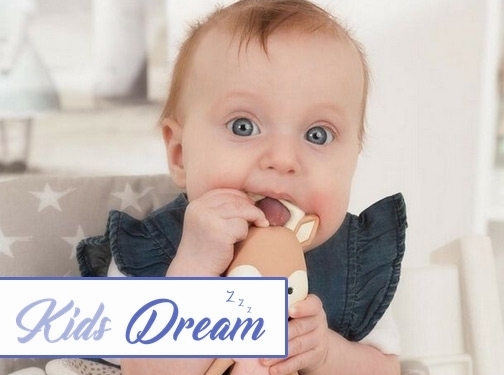 https://www.kidsdream.co.uk/ website